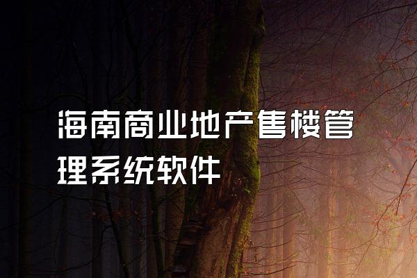 海南商业地产售楼管理系统软件