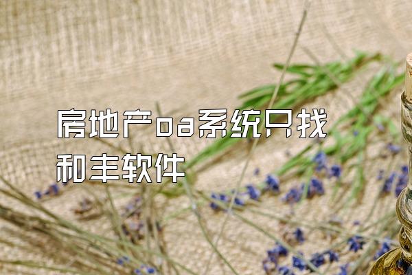 房地产oa系统只找和丰软件