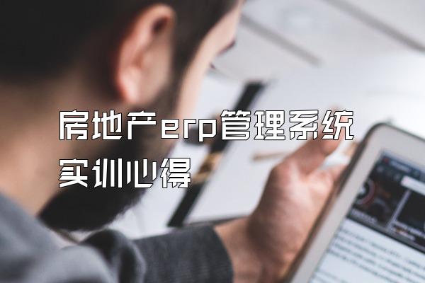 房地产erp管理系统实训心得