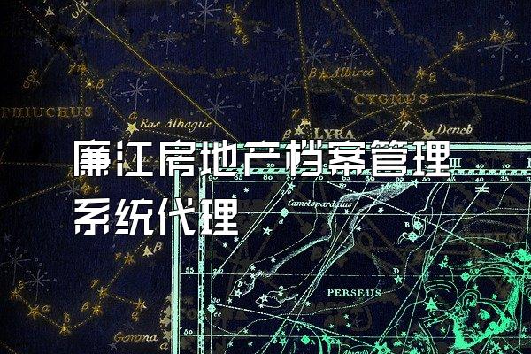 廉江房地产档案管理系统代理