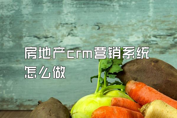 房地产crm营销系统怎么做