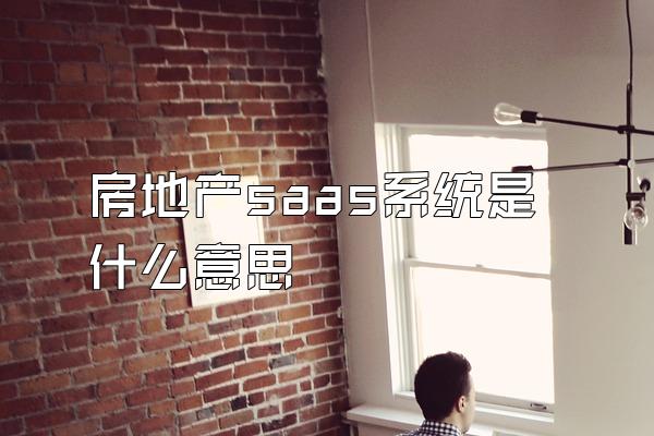 房地产saas系统是什么意思