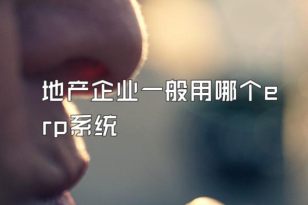 地产企业一般用哪个erp系统