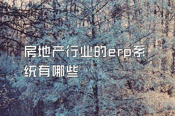 房地产行业的erp系统有哪些
