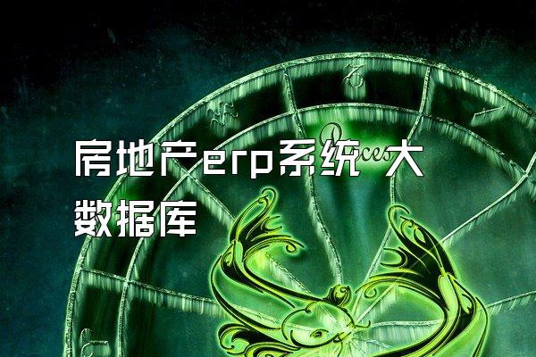 房地产erp系统 大数据库