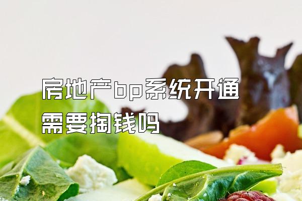 房地产bp系统开通需要掏钱吗