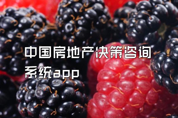 中国房地产决策咨询系统app