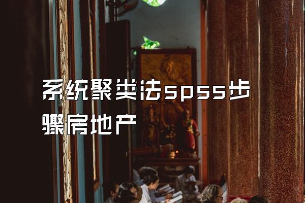 系统聚类法spss步骤房地产