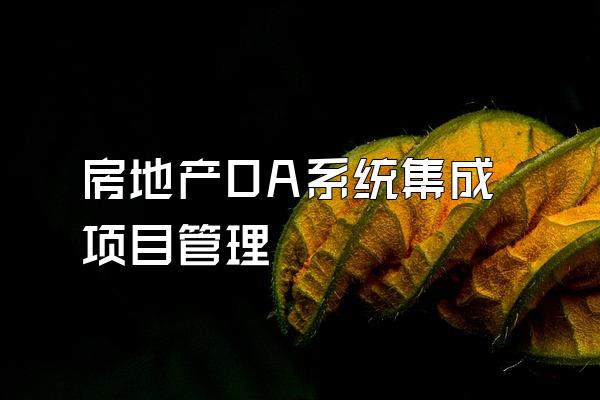 房地产OA系统集成项目管理
