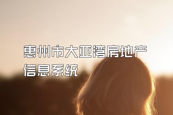 惠州市大亚湾房地产信息系统