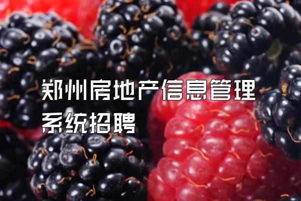 郑州房地产信息管理系统招聘