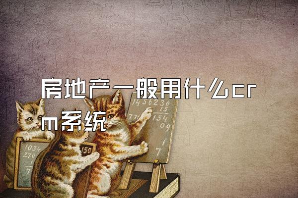 房地产一般用什么crm系统