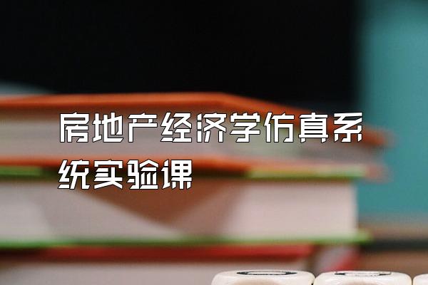 房地产经济学仿真系统实验课