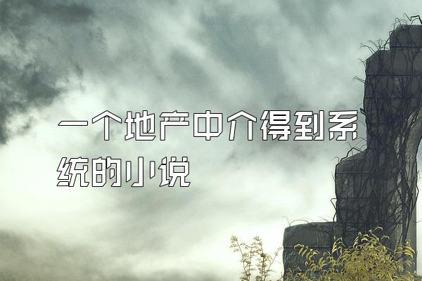 一个地产中介得到系统的小说