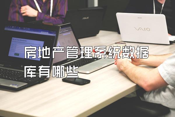 房地产管理系统数据库有哪些