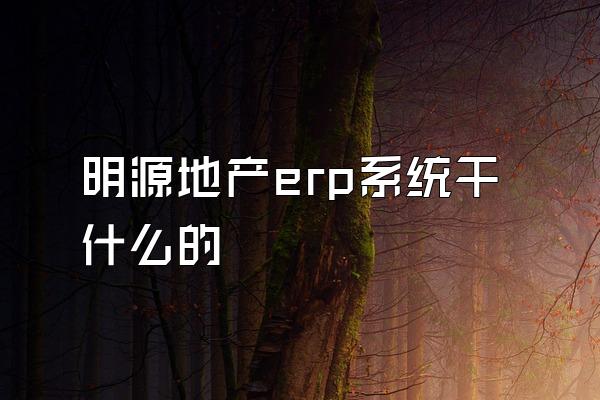 明源地产erp系统干什么的