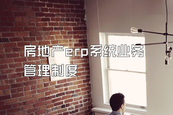 房地产erp系统业务管理制度