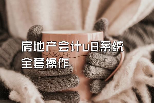 房地产会计u8系统全套操作