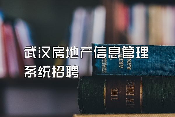 武汉房地产信息管理系统招聘