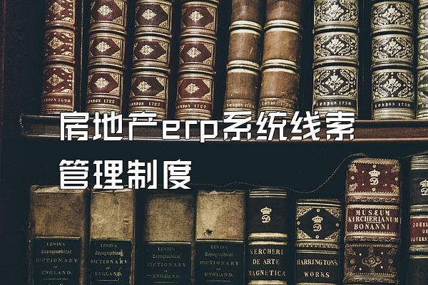 房地产erp系统线索管理制度