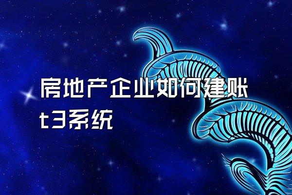 房地产企业如何建账t3系统