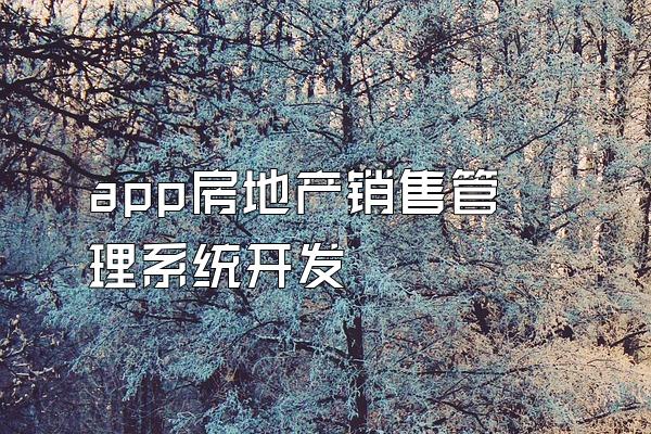 app房地产销售管理系统开发