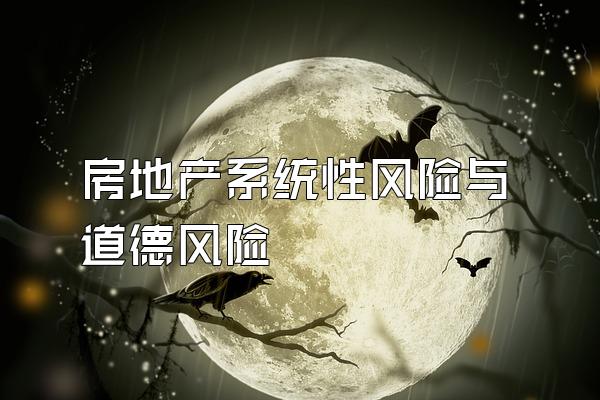 房地产系统性风险与道德风险