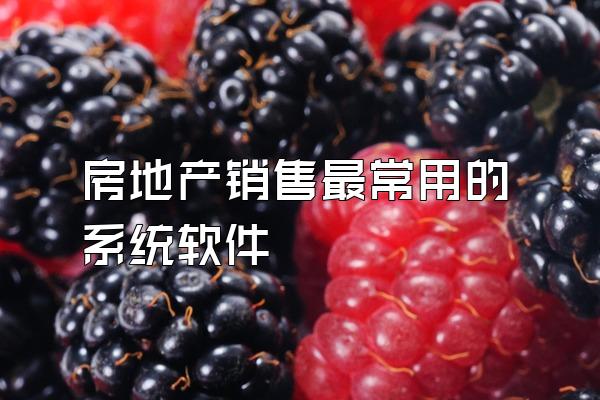 房地产销售最常用的系统软件