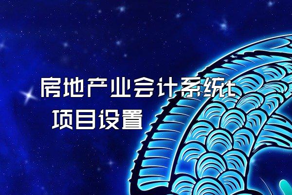 房地产业会计系统t 项目设置