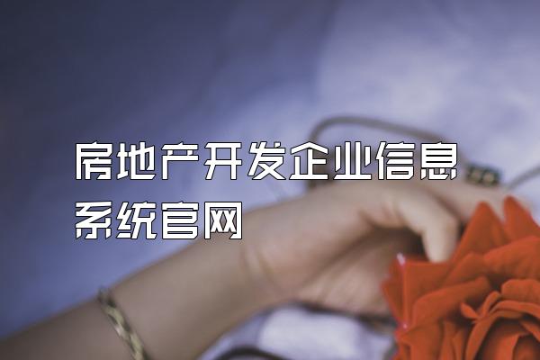 房地产开发企业信息系统官网