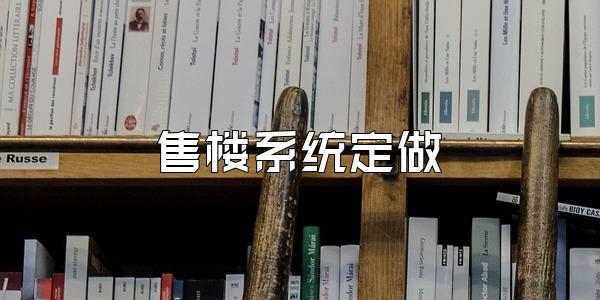 售楼系统定做