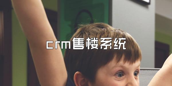 crm售楼系统
