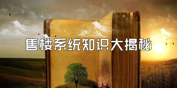 售楼系统知识大揭秘