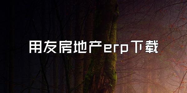用友房地产erp下载