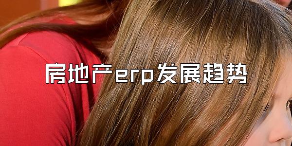 房地产erp发展趋势