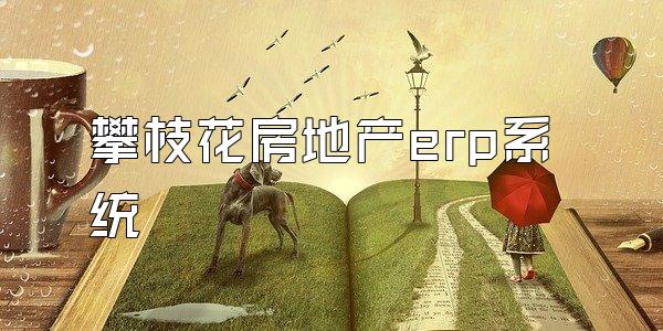 攀枝花房地产erp系统