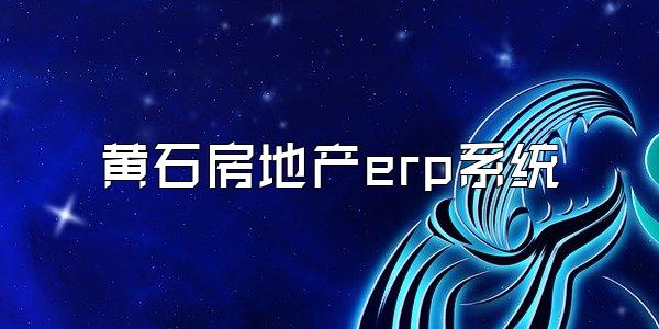 黄石房地产erp系统