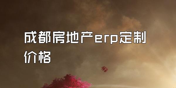 成都房地产erp定制价格