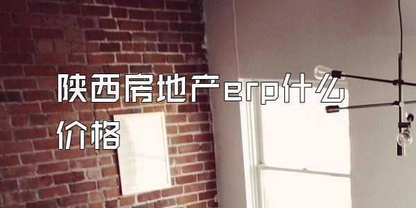陕西房地产erp什么价格