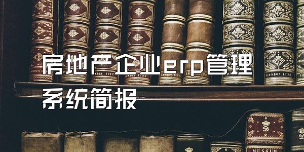 房地产企业erp管理系统简报