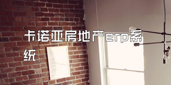 卡诺亚房地产erp系统