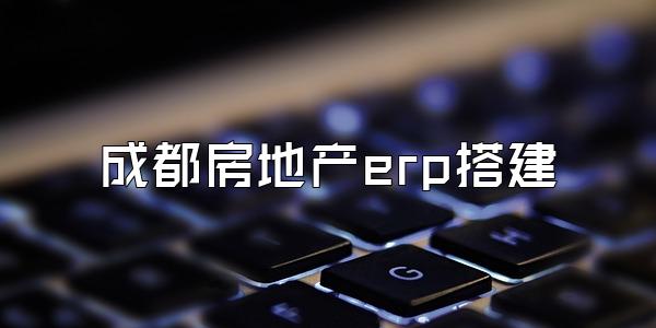成都房地产erp搭建
