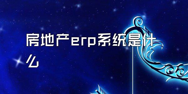 房地产erp系统是什么