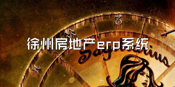徐州房地产erp系统