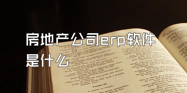 房地产公司erp软件是什么