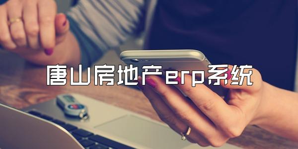 唐山房地产erp系统