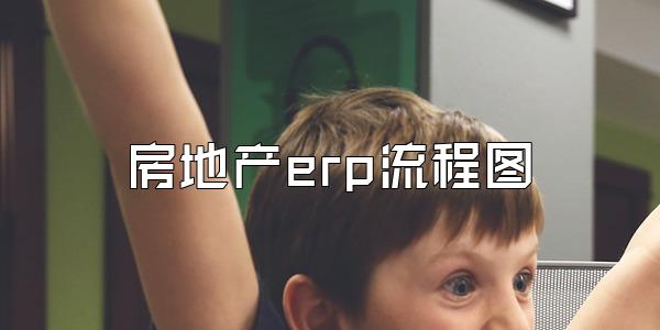 房地产erp流程图