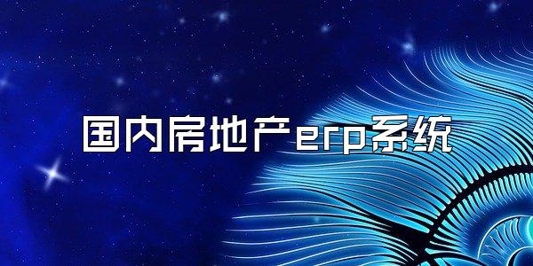 国内房地产erp系统