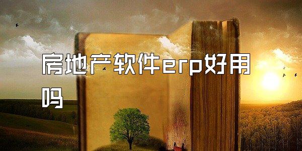 房地产软件erp好用吗