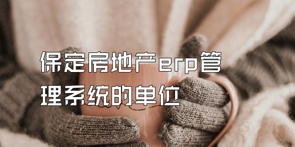 保定房地产erp管理系统的单位
